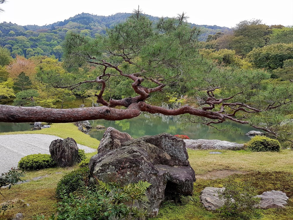 Park Tenryuji - savršeni sklad prirode i ljudske intervencije